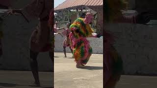 Watch this beautiful dance by the people of OGUN STATE leedanborno fypシ゚viralシfypシ゚viralシalシ [upl. by Moira79]