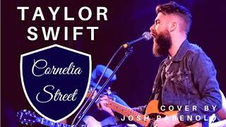 Cornelia Street  Taylor Swift  Cover by Josh Rabenold [upl. by Krystalle]