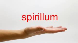 How to Pronounce spirillum  American English [upl. by Vidal]