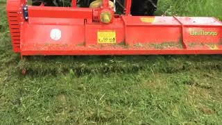 Flail mower FARM  Del Morino [upl. by Atsok743]