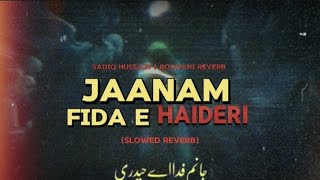 Jaanam Fida E Haideri  Slowed  Reverb  Sadiq Hussain  Kalam e Haider e Karar Mola Ali AS [upl. by Damian]