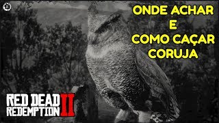 RED DEAD REDEMPTION 2  COMO CAÇAR CORUJA  Dicas [upl. by Nede486]