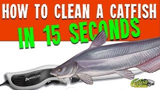 How To Clean A Catfish In 15 Seconds [upl. by Nilrac]