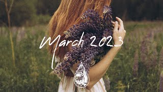 IndiePopFolk Compilation  March 2023 2½Hour Playlist [upl. by Menashem228]