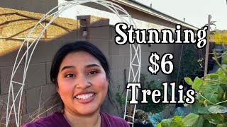 How to Make Stunning 6 DIY Garden Trellises for Climbing Plants [upl. by Corney]