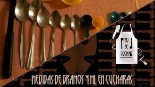 Medidas de Gramos y ML en Cucharas  No Se Cocinar [upl. by Jessa]