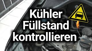 KühlmittelFüllstand richtig kontrollieren  PKW Motorpflege [upl. by Hgeilyak]