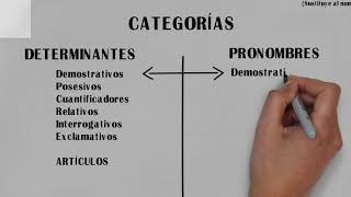 Determinantes vs pronombres 1º PARTE [upl. by Aitret188]