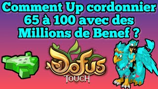 DOFUS TOUCH Comment UP CORDONNIER 65 à 100 [upl. by Yuria]