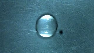 The Leidenfrost Effect watch droplets bounce off each other as they levitate on a hot plate [upl. by Donaghue493]