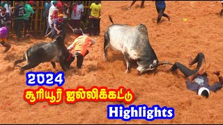 சூரியூர் ஜல்லிக்கட்டு highlights 2024  sooriur jallikattu best videos 2024 [upl. by Newton]