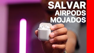 REPARAR AirPods después de 12 horas en el AGUA [upl. by Brackely]