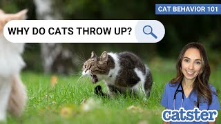 Why Do Cats Throw Up After Eating Vet Explains [upl. by Hagar703]