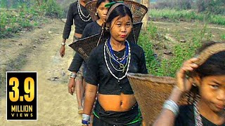 বান্দরবানের আকর্ষণীয় পাহাড়ি জীবন  LIFESTYLE OF HILLY BANDARBAN IN BANGLADESH [upl. by Atirac556]