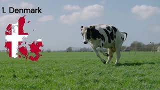 Livestock Traineeship Program in Europe for Kenyans [upl. by Dnalyram]