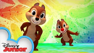 Celebración Feliz Song from Latin America  Shake Your Tail with Chip ‘n Dale  disneyjr [upl. by Cargian504]