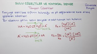 ANALİTİK KİMYASulu Çözeltiler ve Kimyasal DengeTampon Çözeltiler 1 [upl. by Ettenauq813]