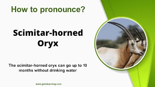 How to pronounce Scimitarhorned Oryx in English correctly [upl. by Lugar872]