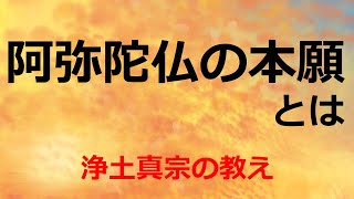 阿弥陀如来の本願をわかりやすく解説する [upl. by Anael]