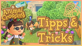 Einfache Tipps amp Tricks für ANIMAL CROSSING NEW HORIZONS [upl. by Ylrebmek327]