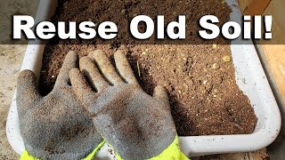 How To Reuse Old Potting Soil  FOUR ways [upl. by Aidni]