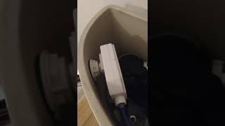 How to change the toilet handle on a Jacuzzi perfecta swp2 [upl. by Anwad772]