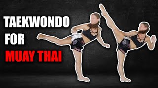 5 Best Taekwondo Kicks for Muay Thai MMA amp Kickboxing [upl. by Vanthe562]