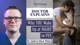 Waking up to PEE at NIGHT This is why [upl. by Gettings]