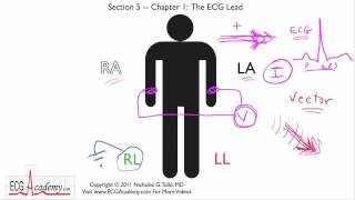 Basics of ECG Leads 51  ECG  EKG Interpretation  BASIC [upl. by Lua]