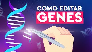 Como o CRISPR Funciona Edição Genética Explicada [upl. by Orrin]