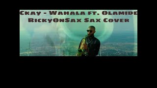 Ckay  Wahala ft Olamide  Sax Cover by RickyOnSax [upl. by Vange123]