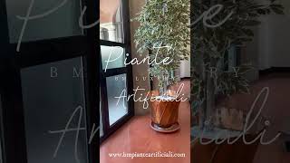 Vedi wwwbmpianteartificialicom plants piante arredointerni DesignDiInterni InteriorDesign [upl. by Datha934]