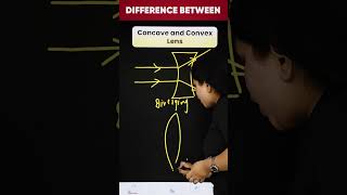 Difference Between Concave Lens and Convex Lens science shorts magnetbrains [upl. by Mitchiner260]