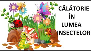 În lumea insectelor Cunoaşterea mediului [upl. by Loftis]