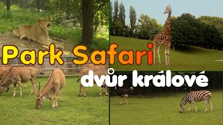 A few moments with Safari Park Dvur Kralove Czechia  Kawałek Afryki w Europie 8 [upl. by Alveta170]