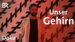 Das Gehirn  die wichtige Schaltzentrale Aufbau Funktion amp Wesen  Sehen statt Hören  Doku  BR [upl. by Larentia]