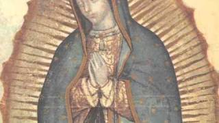 La historia de las apariciones de la Virgen de Guadalupe [upl. by Akisej]