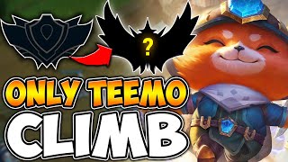 TEEMO TO CHALLENGER [upl. by Dnallor58]