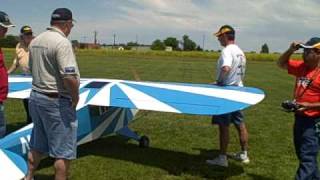 50 Clipped Wing Cub Maiden Flight [upl. by Elag]