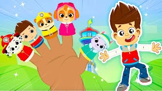 Paw Patrol amp Spiderman Finger Family  More  Super Fun Nursery Rhymes amp Songs for kids   Superzoo [upl. by Schreck]