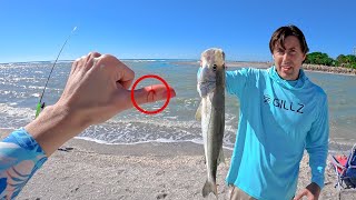 The Best fishing spot Sanibel Island [upl. by Paff]