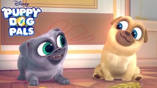 Series Trailer  Puppy Dog Pals  Disney Junior [upl. by Dodge]