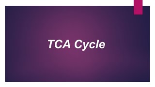 TCA Cycle pptx Biochemistry [upl. by Fruma759]