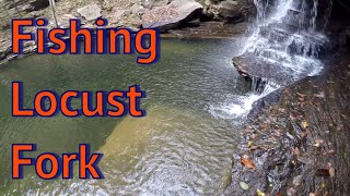 Fishing the Locust Fork Blount County Alabama [upl. by Lelia]