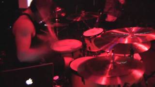 Animals As Leaders  Navene Koperweis  Song of Solomon  San Fransisco 1302011  HD [upl. by Elleivad]