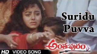 Anthapuram Movie  Suridu Puvva Video Song  Sai Kumar Jagapathi Babu Soundarya [upl. by Hickie]