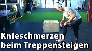 Knieschmerzen beim Treppensteigen [upl. by Alehs]