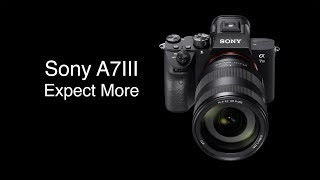 Sony A7III Camera Review [upl. by Arden]