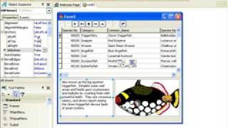 Delphi Programming Tutorial 24  DBGrid OnDrawColumnCell [upl. by Sirdna]