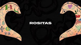 Yahritza Y Su Esencia  Rositas Official Lyric Video [upl. by Yboc]